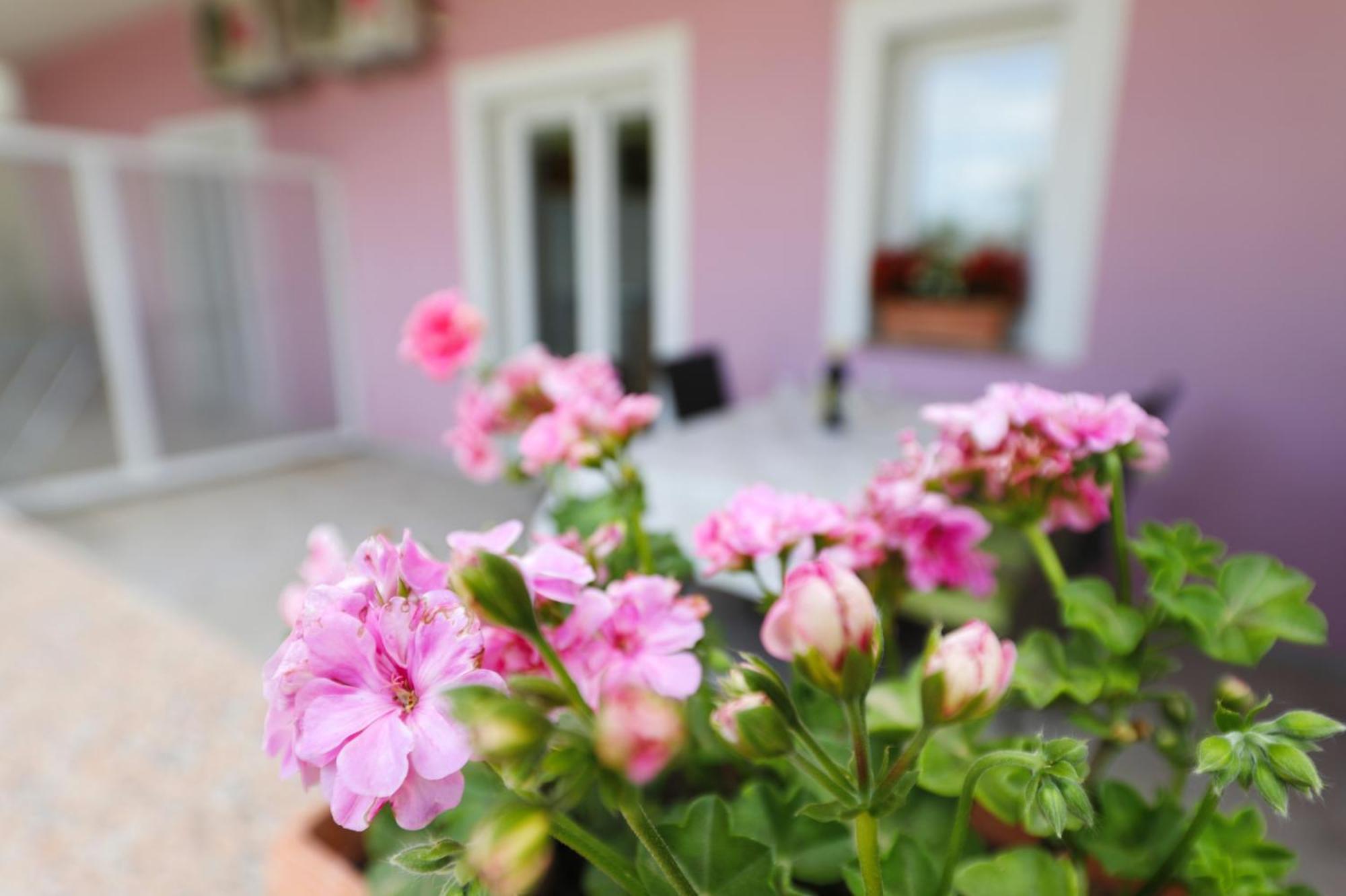 Villa Rajna Starigrad Paklenica Zimmer foto