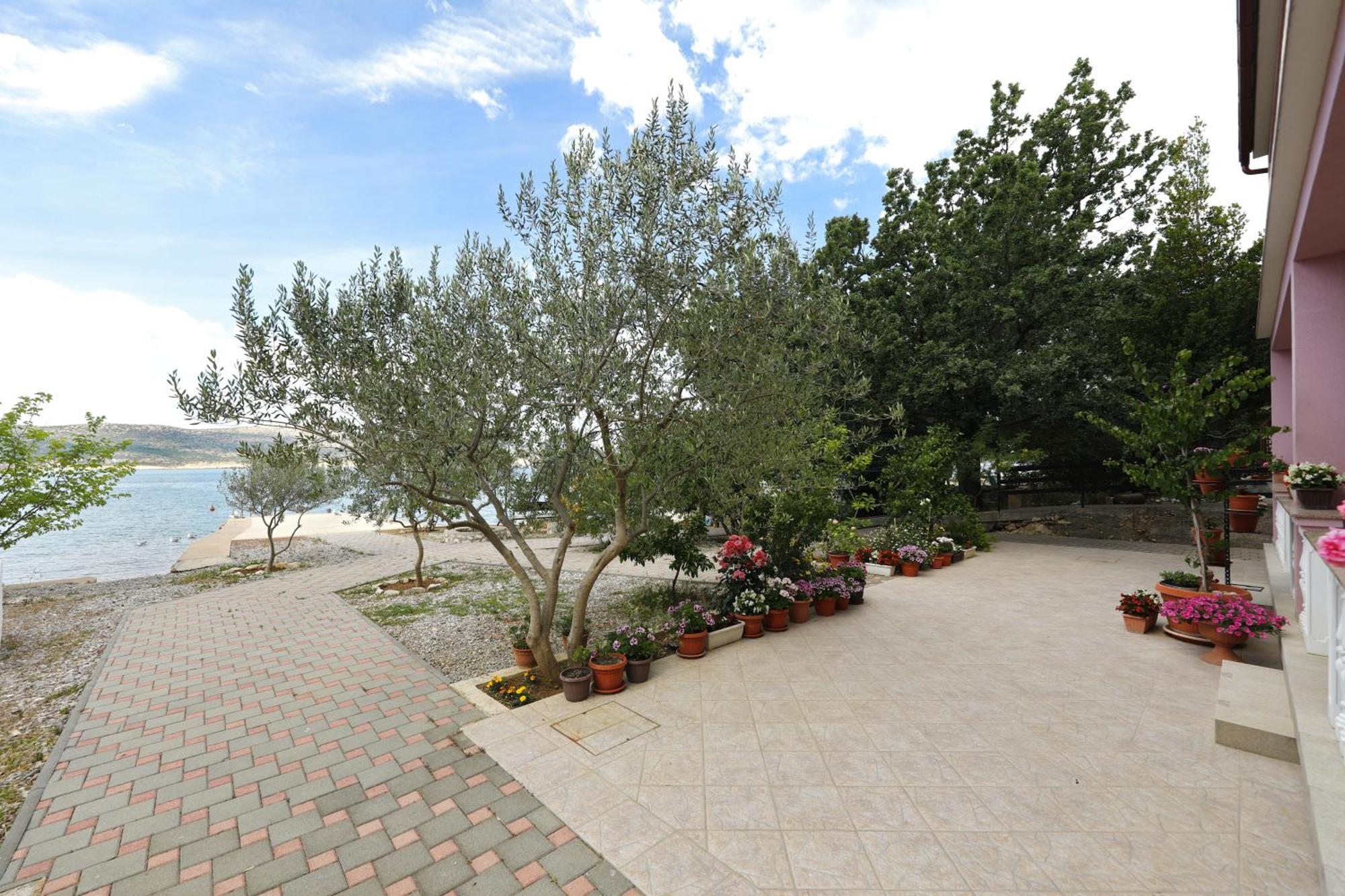 Villa Rajna Starigrad Paklenica Zimmer foto